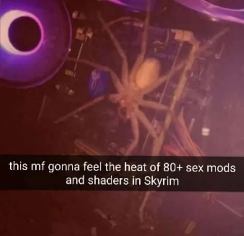 Skyrim Mods Overheating PC