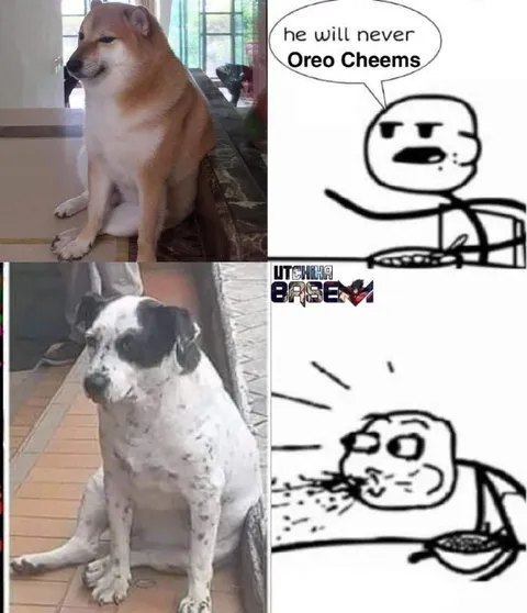 He Will Never Oreo Cheems