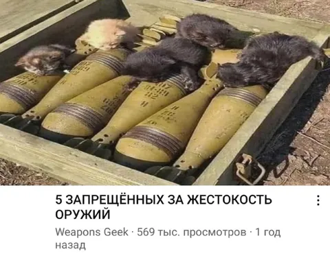 Запрещённое оружие с крысами