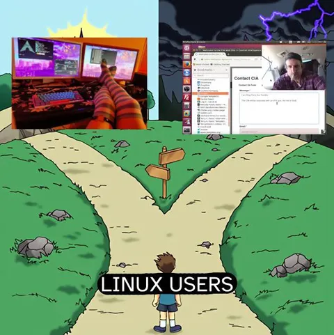 Linux Users Choose Their Path