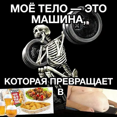 Тело превращает еду в жир