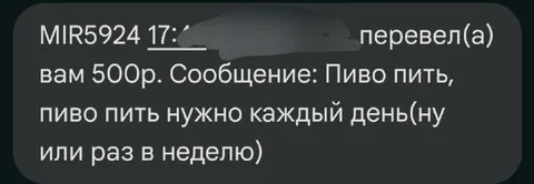 Пиво пить нужно каждый день