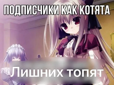 Подписчики как котята