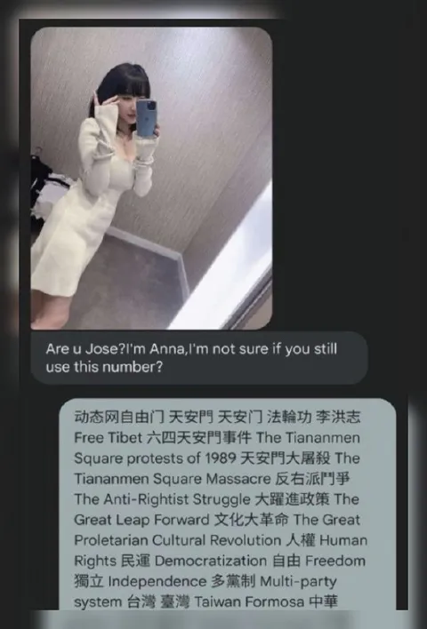 Anna Sends a Suspicious Text