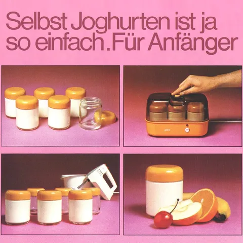 Joghurt für Anfänger