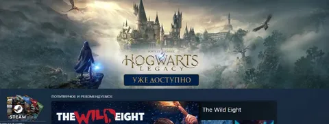 Hogwarts Legacy уже доступна в Steam