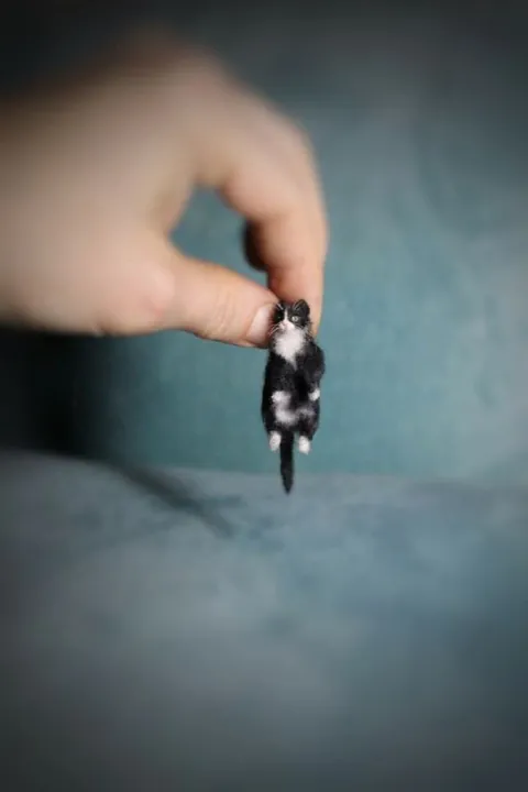 Крошечный котик в руке