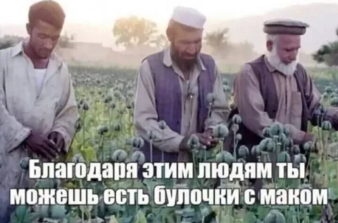 Булочки с маком