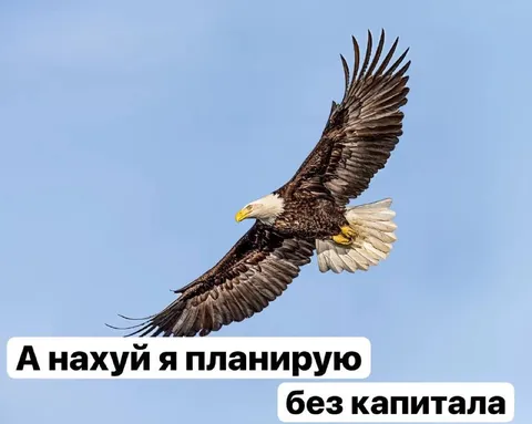 Орёл без капитала