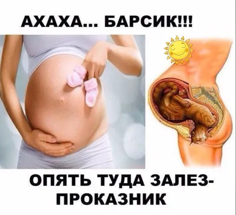 Барсик опять залез туда