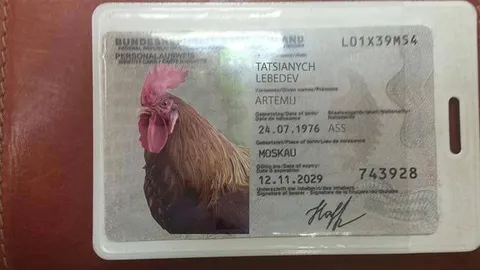 Hahn mit falschem Ausweis