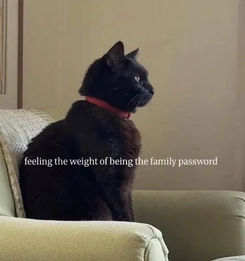 Family Password Cat