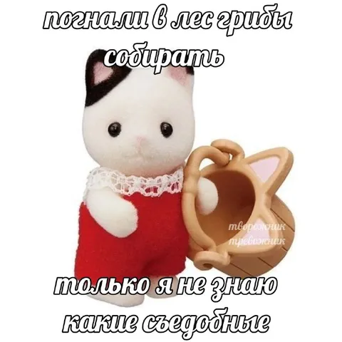 Котёнок собирает грибы