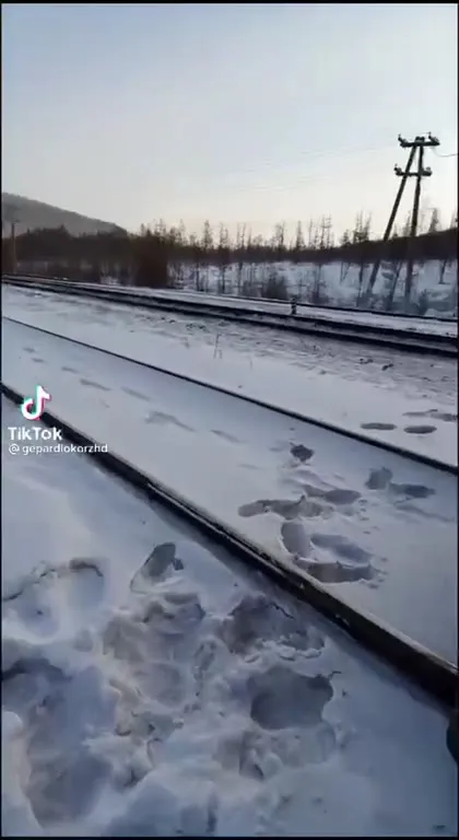 Проверка локомотива на прочность