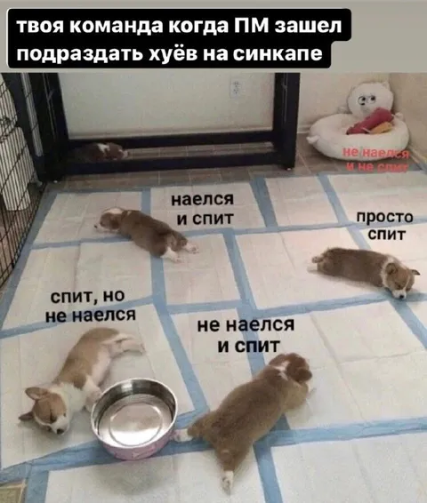 Твоя команда после прихода ПМ