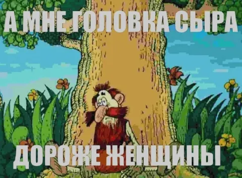 Головка сыра дороже женщины