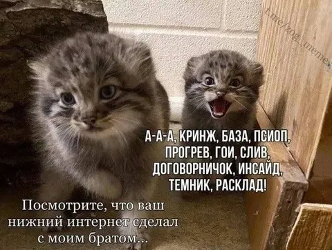 Нижний интернет сделал с братом