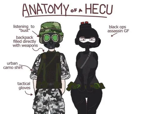 Anatomy of a HECU