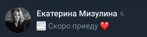 Екатерина Мизулина скоро приеду