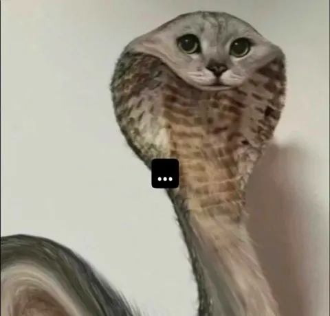 Кот, который молчит