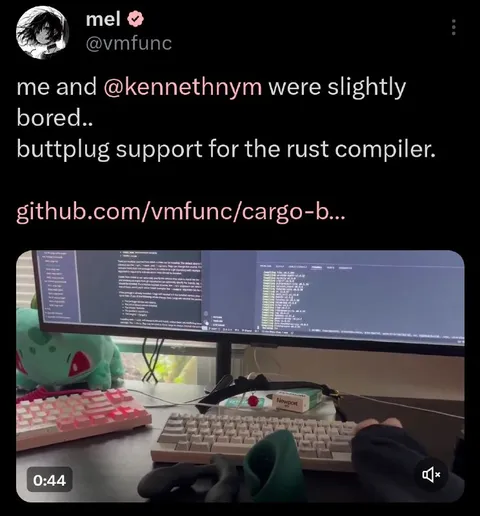 Buttplug Support for Rust Compiler
