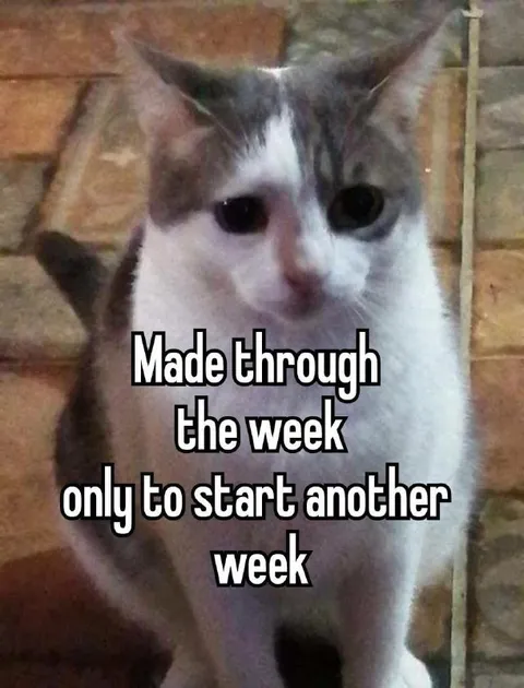 Made Through the Week