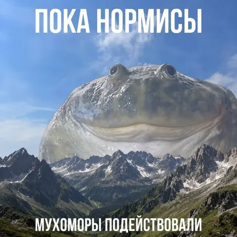 Мухоморы подействовали в горах