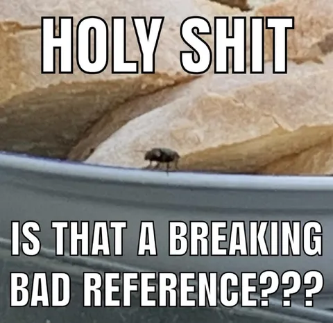 Holy Shit Breaking Bad Reference