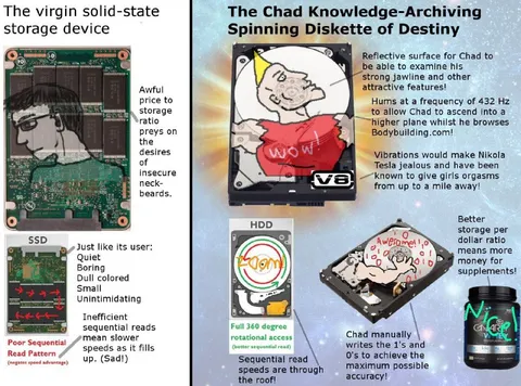 Virgin SSD vs Chad HDD