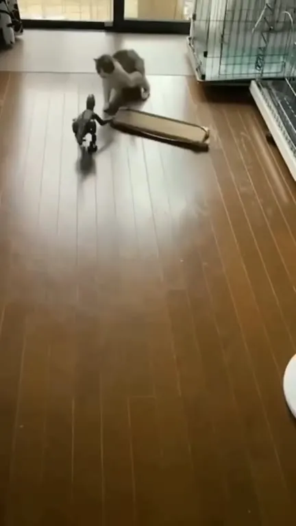 Кот против динозавра