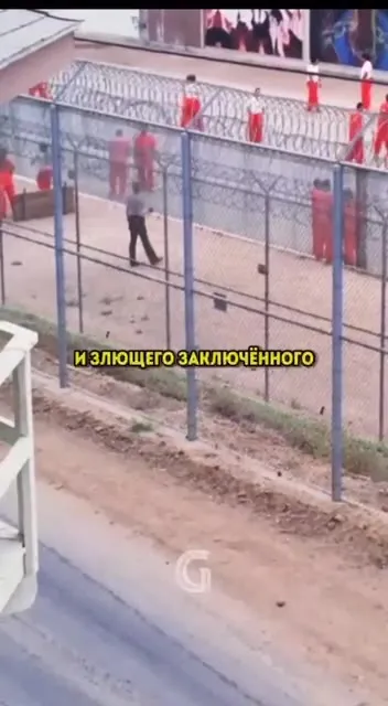 Заключённый не умеет драться