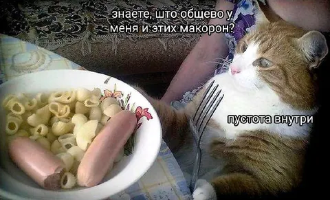 Пустота внутри кота и макарон
