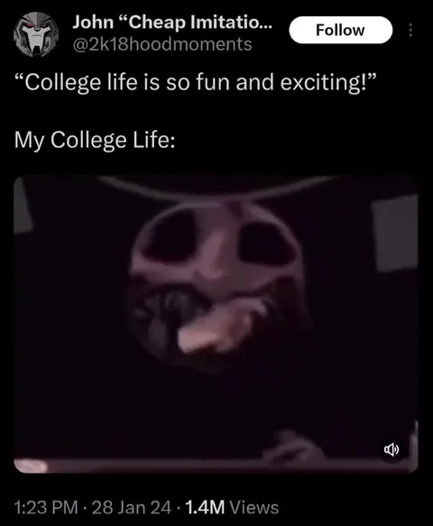 College Life Is So Exciting