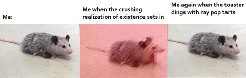 Mouse Facing Existential Dread