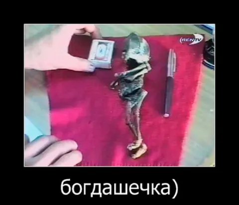 Богдашечка рядом с ножом