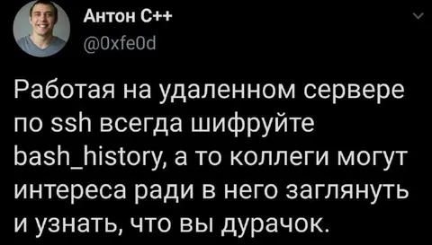Шифруйте bash_history от коллег