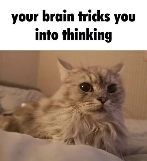Your Brain Tricks You Cat
