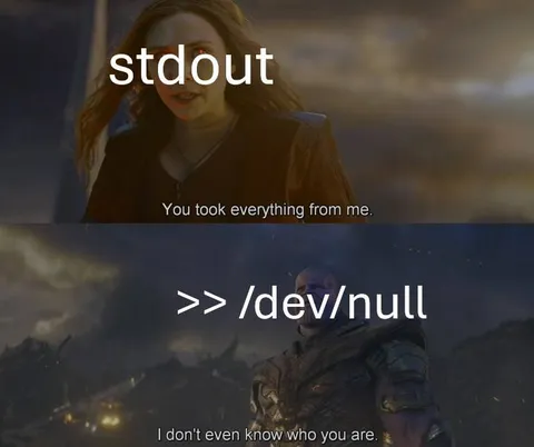stdout Redirected to Dev Null