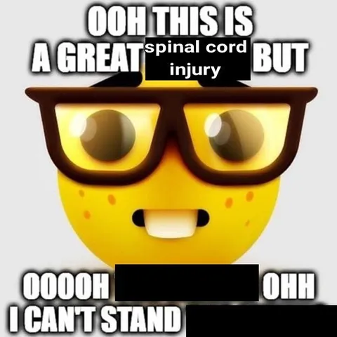 Spinal Cord Injury Can't Stand
