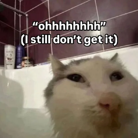 Confused Cat Still Doesn’t Get It