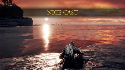 Nice Cast Fishing Sunset