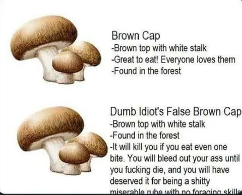 Dumb Idiot's False Brown Cap