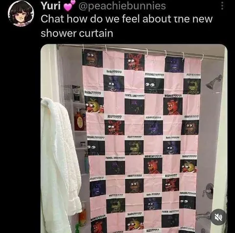 How Do We Feel About the New Shower Curtain