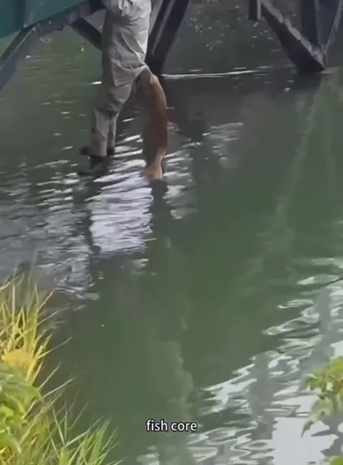 Рыбный кор в странных водах