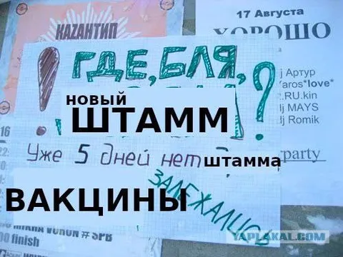 Где, бля, новый штамм