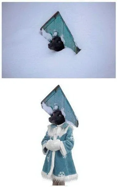 Кот в костюме Снегурочки