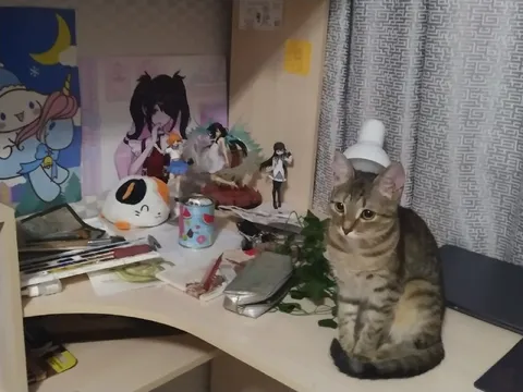 Кот среди фигурок и хлама