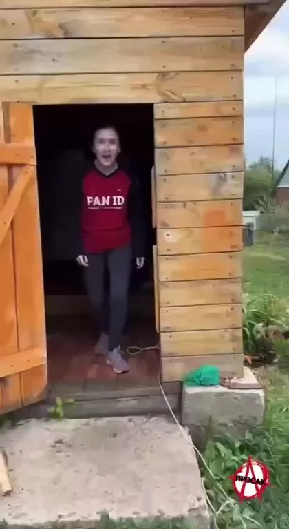 Кошмар детства и картофельное поле