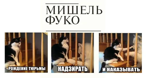 Мишель Фуко и коты