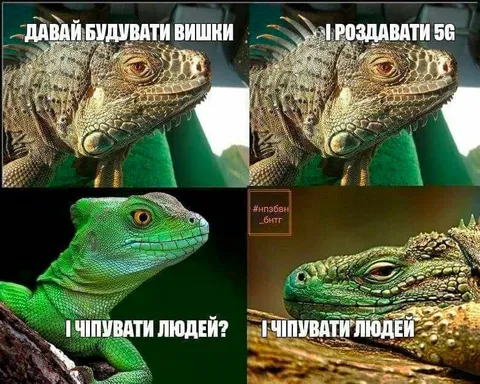 Ящерицы о планах будущего
